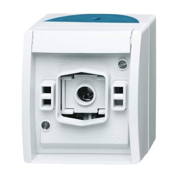 BUSCH-JAEGER Lichtsignal 2661 W-53 ocean ohne Haube grau/blaugr&uuml;n