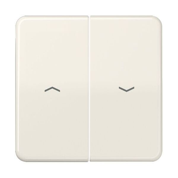 JUNG Serienwippe CD595P