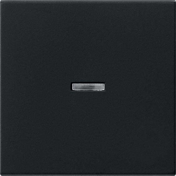 GIRA Wippe mit Kontrollfenster 0290005 System 55 schwarz matt