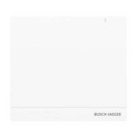 BUSCH-JAEGER System Access Point SAP/S.13
