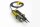 FLUKE Gamma-Kit 2100 Gamma-Set PK=4 Stck