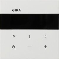 GIRA UP-Radio 2320112 IP Flächenschalter Reinws