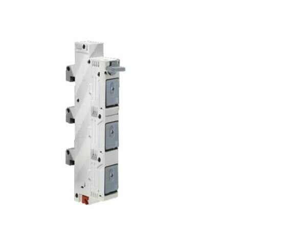 RITTAL D-Switch Reitersicherungselement 63A 3polig D01 D02 oder 10x38 PK=3Stck