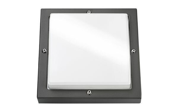SG Leuchten LED-Wandleuchte LB24 Basso 19W 1250lm 3000K Ra>80 graphit