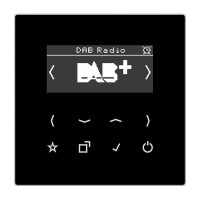 JUNG Smart Radio DABLSSW DAB+
