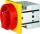 ELEKTRA Not-Aus-Schalter S1 011/HS-F3-D-RG