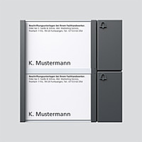SIEDLE Tastenmodul BTM 650-02 DG dunkelgrau-glimmer 2fach