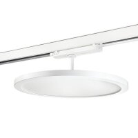 SG Leuchten LED-Stromschienenstrahler LB24 Sense 320...