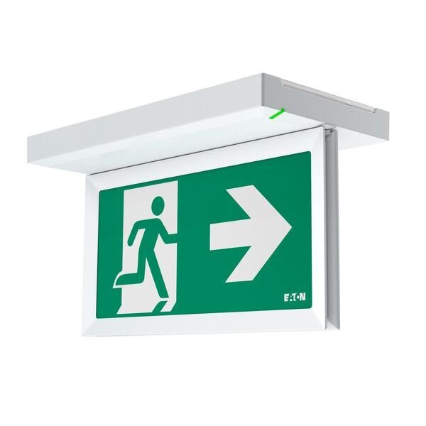 CENO LED-Notleuchte FlexiTech ED AT 8h