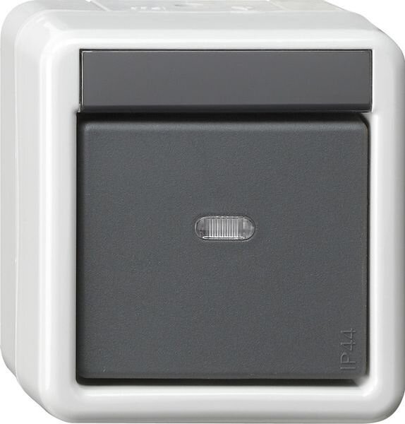 GIRA Taster 515230 KNX/EIB 1fach BA WG AP 2 LED gr