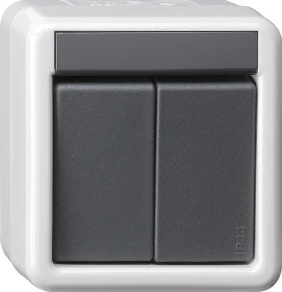 GIRA Taster 516130 KNX/EIB 2fach BA WG AP 1 LED gr