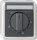 GIRA Zeitschalter 032130 120 min WG AP grau