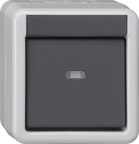 GIRA Taster 515130 KNX/EIB 1fach BA WG AP 1 LED gr