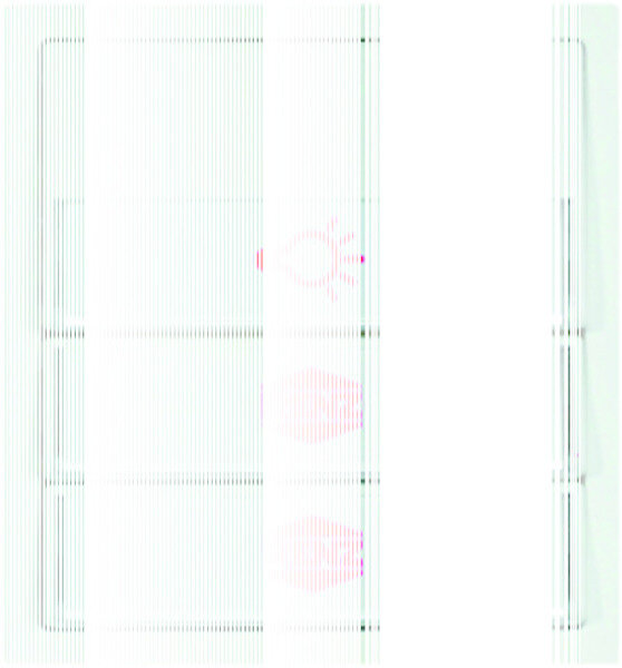 RENZ Tastenmodul mit 1 Licht-/2 Klingeltaster quarzgrau