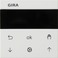 GIRA Jalousie- und Schaltuhr 536603 Display System 55...