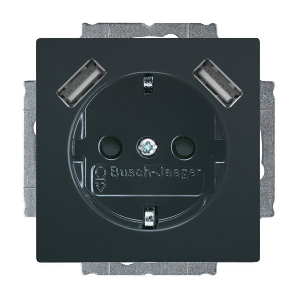 BUSCH-JAEGER USB-Steckdose SCHUKO 20 EUCB2USB-81 mit erh. Ber&uuml;hrungsschutz 2x USB anthrazit