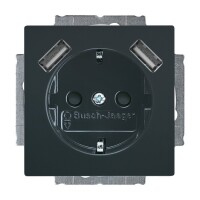 BUSCH-JAEGER USB-Steckdose SCHUKO 20 EUCB2USB-81 mit erh....