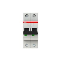 ABB Leitungsschutzschalter S202-B6 B6A 2polig 6kA