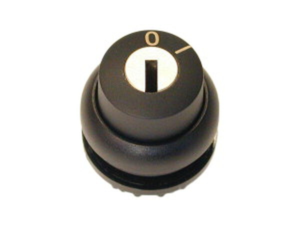 EATON Schl&uuml;sseltaste M22S-WRS