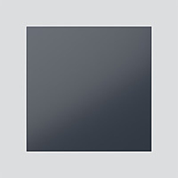 SIEDLE Blindmodul BM 611-0 AG anthrazitgrau