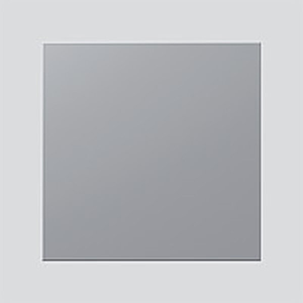 SIEDLE Blindmodul BM 611-0 SM