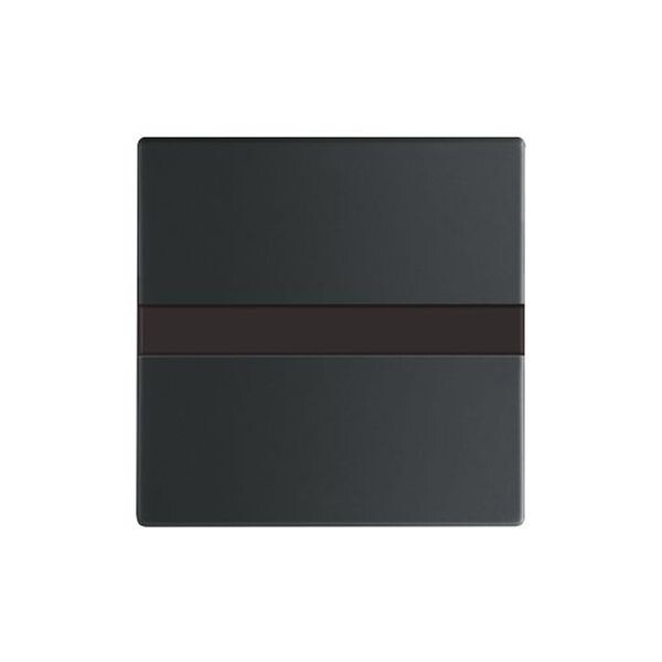 BUSCH-JAEGER Komfortschalter 64765-885 flex m.Orientierungslicht