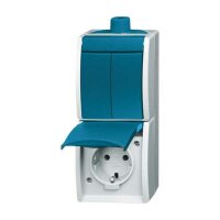 BUSCH-JAEGER Kombination 2601/5/20EW-53-503 Serien/Steckd...