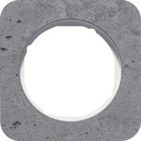 BERKER Rahmen 10112379 1-f. R.1 Beton grau/polarw. gl.