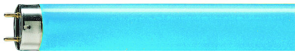PHILIPS Leuchtstofflampe TL-D Colored 36W blue 1SL/25