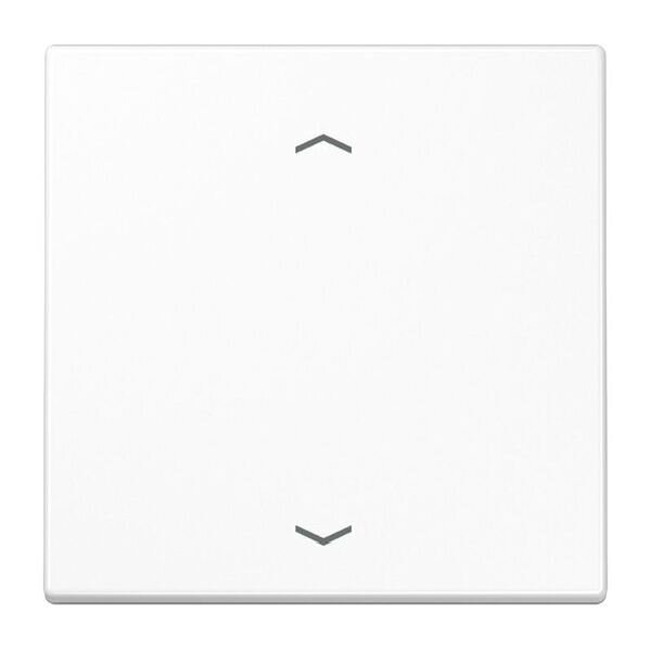 JUNG Steuertaste LS1700PWW Standard Pfeile