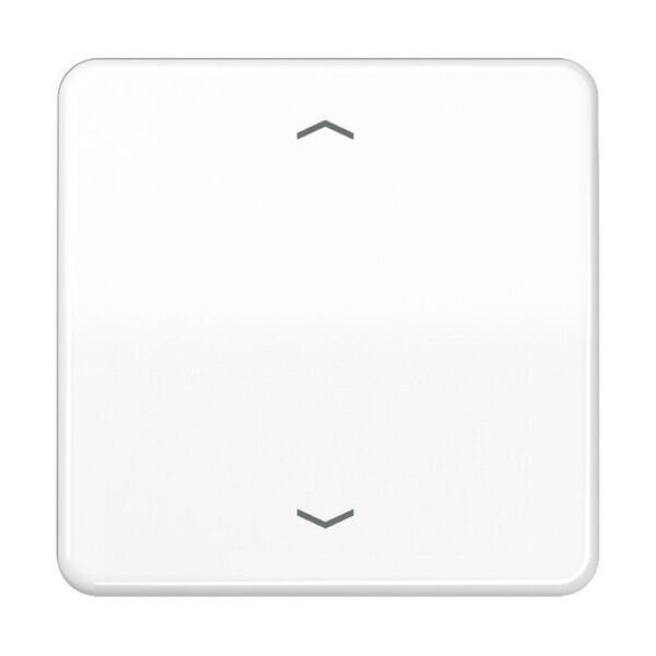 JUNG Steuertaste CD1700PWW Standard Pfeile