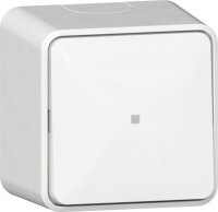 GIRA Wippschalter 311613 Wipp-Kontrollschalter AusWe AP...