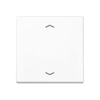 JUNG Steuertaste A1700PWW Standard Pfeile