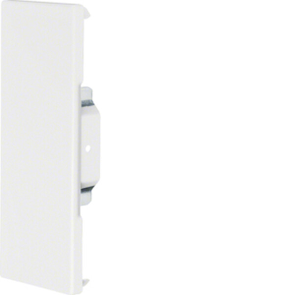 HAGER TEHALIT Endst&uuml;ck BRS6517069016 68x170mm OT 80mm v-wei&szlig;