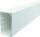 OBO Wand-/Deckenkanal WDK 60110 60x110 reinweiss