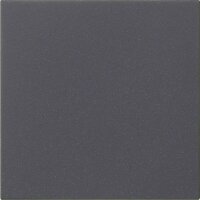 GIRA Bedienaufsatz 536028 S3000 System 55 Anthrazit