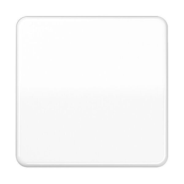 JUNG Steuertaste CD1700WW Standard