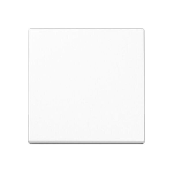 JUNG Steuertaste A1700WW Standard