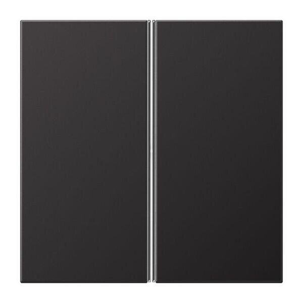 JUNG Tastensatz AL2402TSAD komplett 2fach Aluminium lackiert Serie LS dark (lackiertes Aluminium)