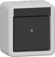GIRA Wippschalter 310730 Grau Kreuzschalter WG AP gr...
