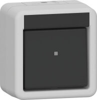 GIRA Wippschalter 310230 Aus 2-p WG AP gr (neue Generation)