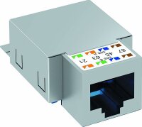 OBO Anschlussmodul ASM C6 G CAT6 geschirmt