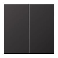 JUNG Wippe AL2995D Aluminium lackiert Serie LS dark...