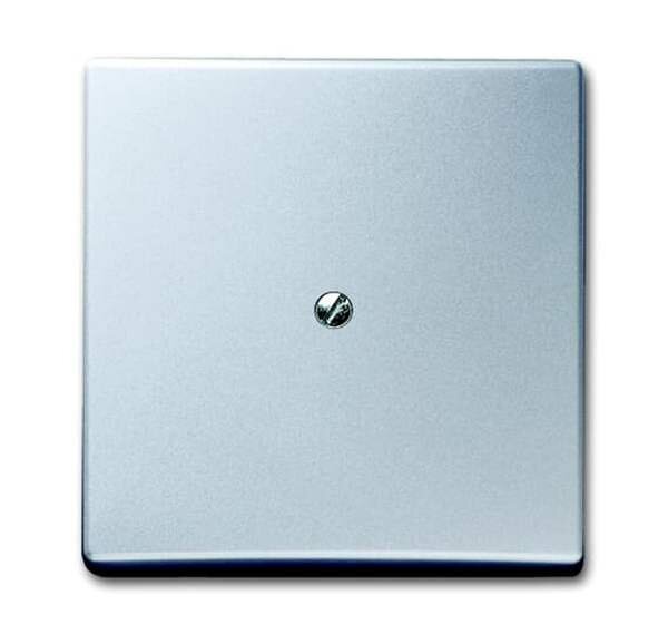BUSCH-JAEGER Zentralscheibe 2138-33 AW44 aluminiumsilber