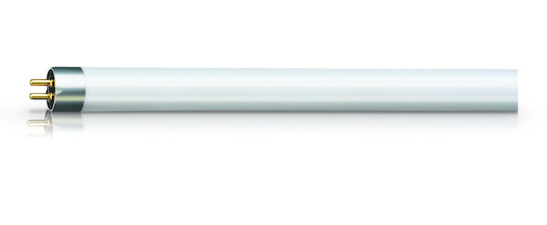 PHILIPS Leuchtstofflampe Actinic BL TL 8W 10 1FM/10X25CC