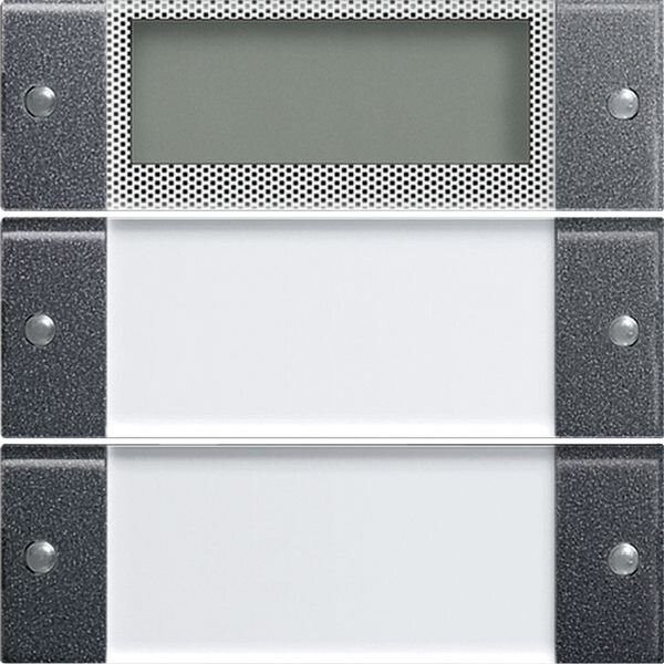 GIRA Wippenset 214228 2fach Plus Beschriftungsfeld System 55 Klar/ant