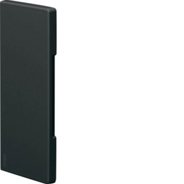 HAGER TEHALIT Endst&uuml;ck schnittkaschierend BR6517069011 65x170mm 80mm graphitschw.