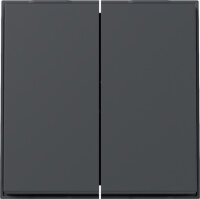 GIRA Serienwippe 329567 TX_44 (WG UP) anthrazit
