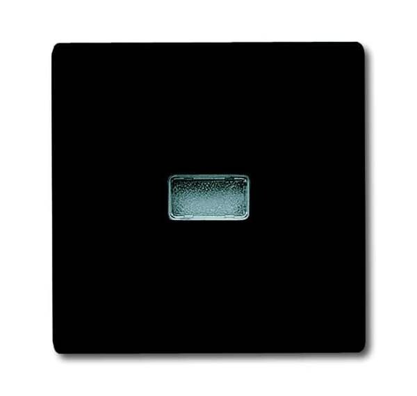 BUSCH-JAEGER Wippe 2107-35 AW44 anthrazit
