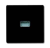 BUSCH-JAEGER Wippe 2107-35 AW44 anthrazit